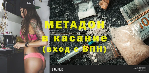 гашик Алексин