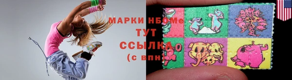 гашик Алексин