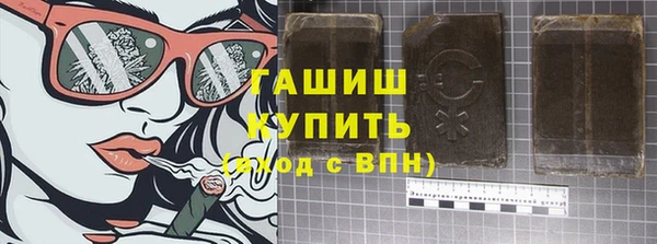 гашик Алексин