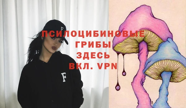 гашик Алексин