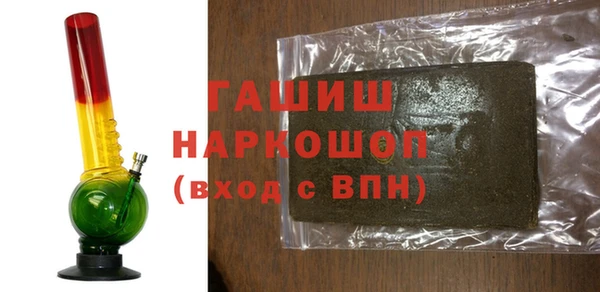 гашик Алексин